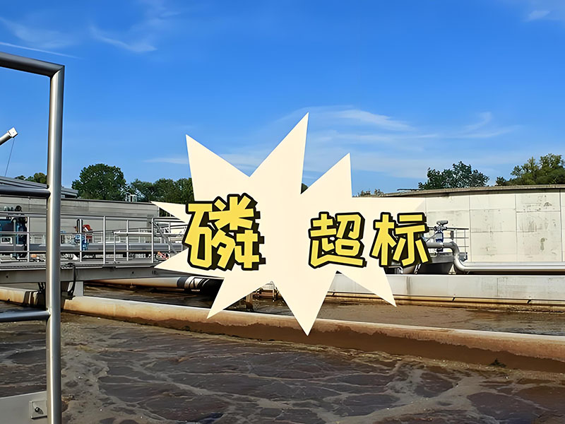 【万潮科技】分享：污水处理中主流除磷方法及应用要点